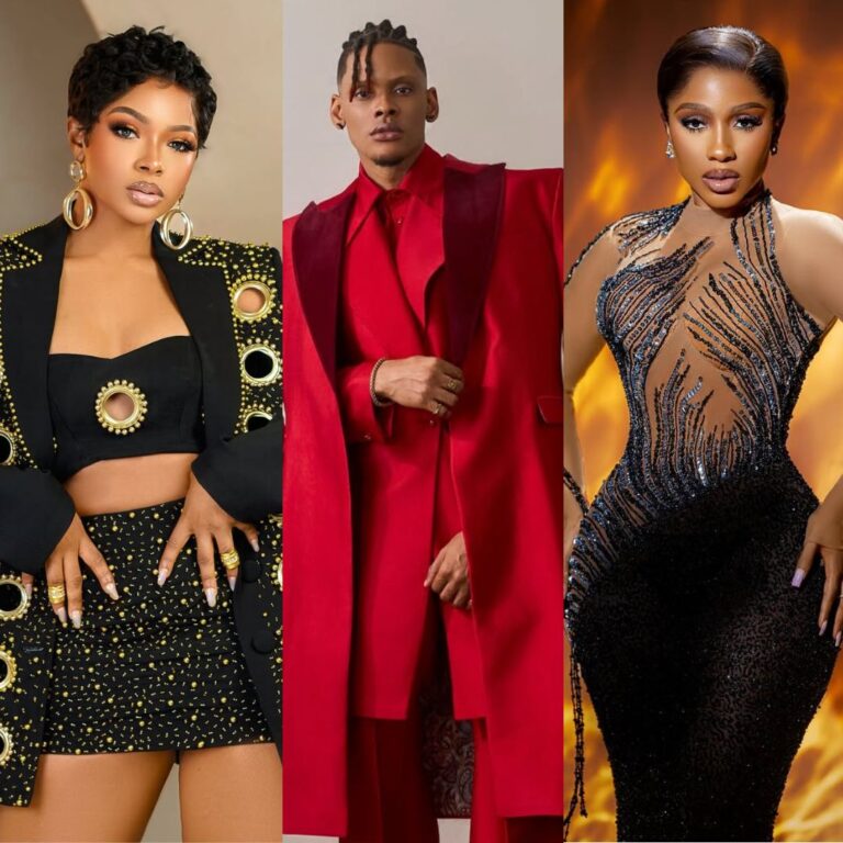 10 Big Brother Naija Stars You Should Know Right Now