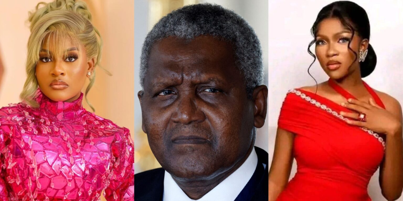 You Crushed My Sister And Still Abandoned Her Children – Phyna Resumes Fresh Attack On Dangote